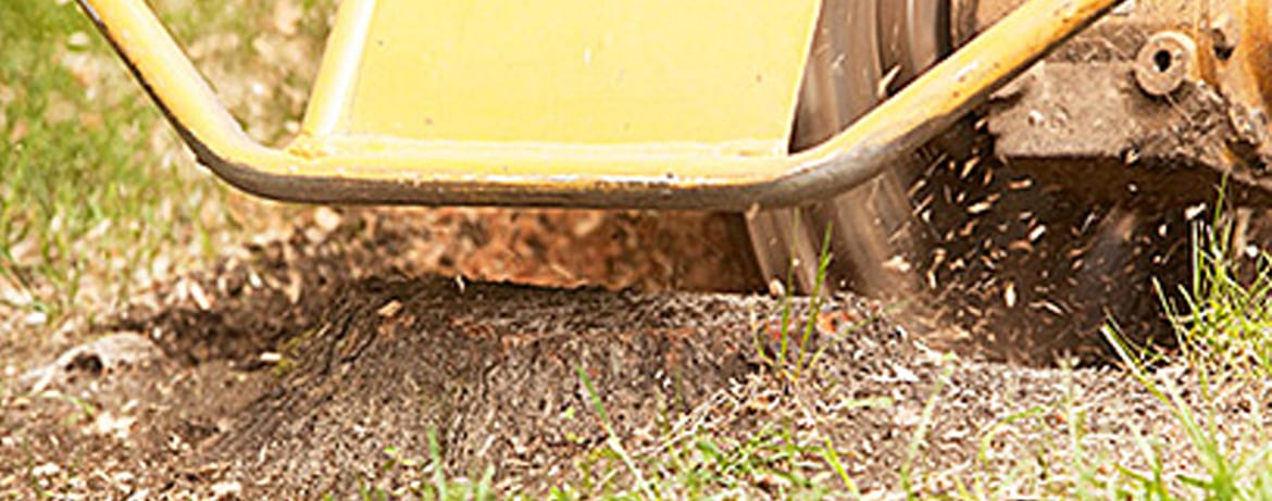 How Does a Tree Stump Grinder Work?