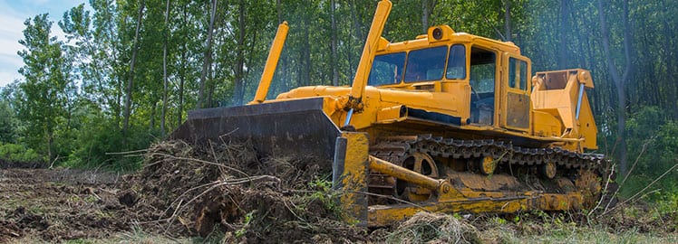 Importance & Reasons for Land Clearing