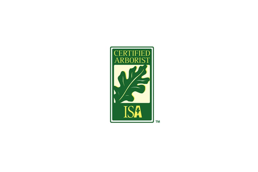 Certified Arborist