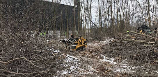 lot clearing services Ontario