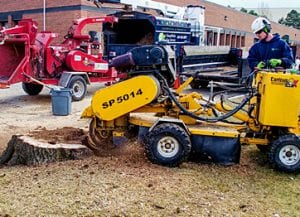 Tree Care Services in Ontario | DreamWorks
