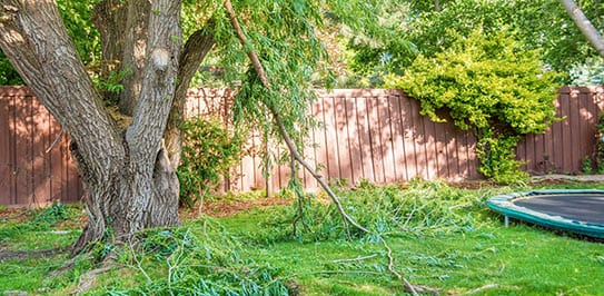 24/7 emergency tree cleanup