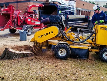 Stump grinding or removal