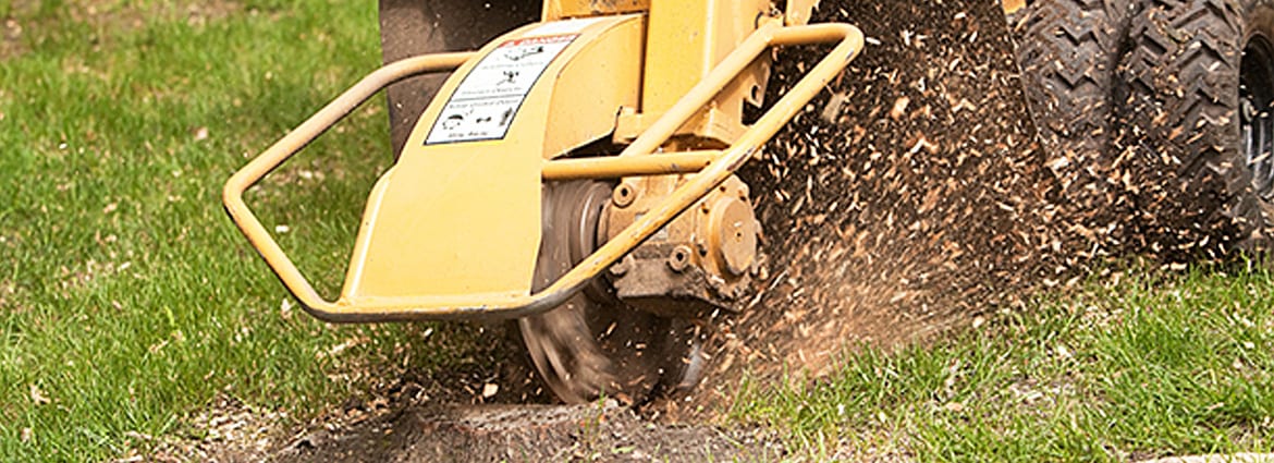 Stump Removal in the GTA