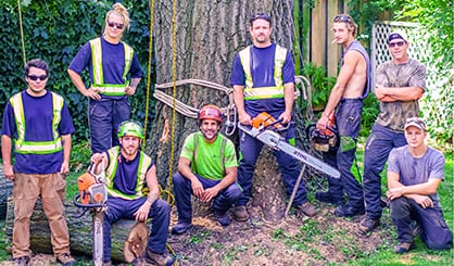 full-service tree care specialist