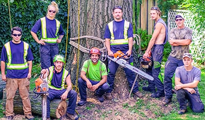 Tree Cutting Service