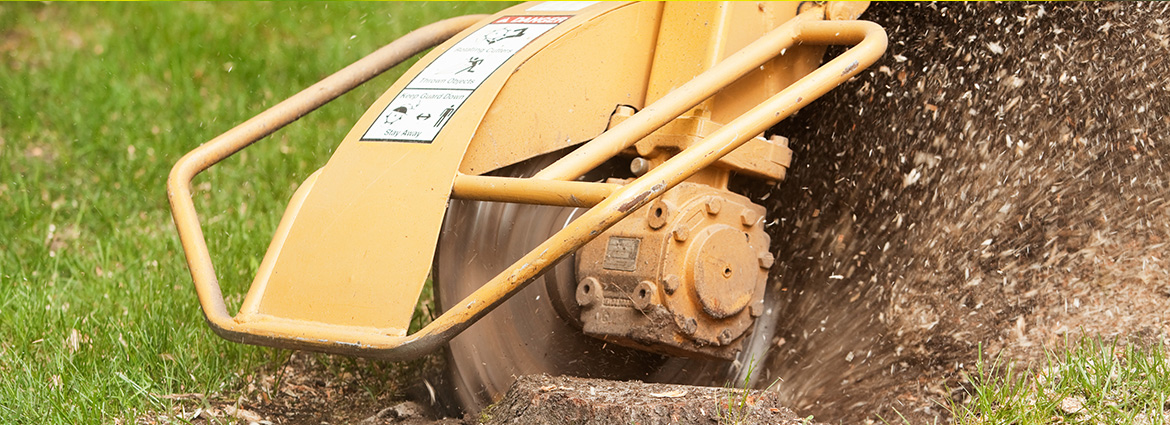 Stump Grinding in Toronto