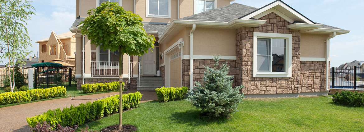 The Best Trees to Plant within 15 Feet of Your House in Toronto