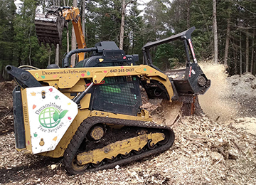 Forestry Mulching