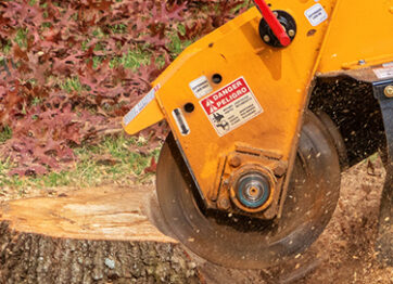 Know the Factors Affecting Stump Grinding Prices