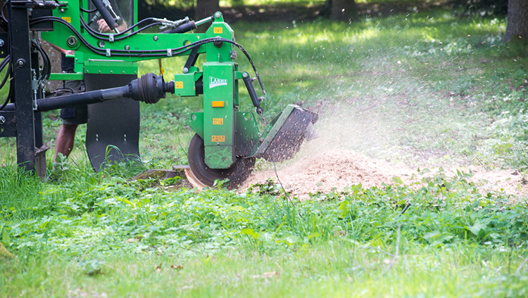 Stump Grinding Service 