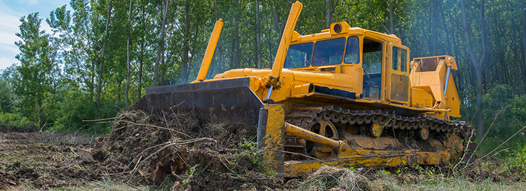 Mistakes to Avoid When Clearing Lot for Construction