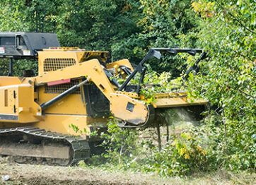 Learn About Hiring Forestry Mulching Services (Benefits + Comparison)