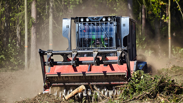 Professional Forestry Mulching Services 