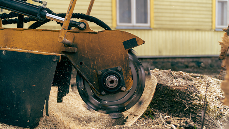 Stump Grinding & Removal