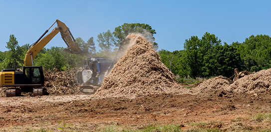 Forestry Mulching