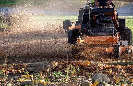 Forestry Mulching