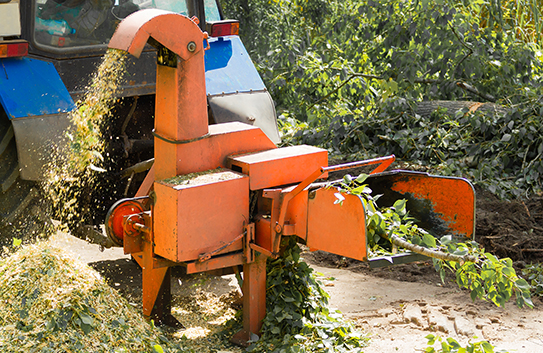 Forestry Mulching