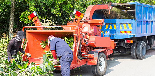 Forestry Mulching