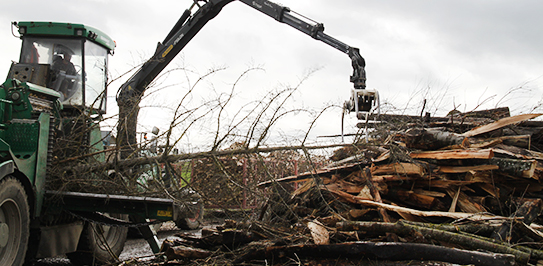 Forestry Mulching