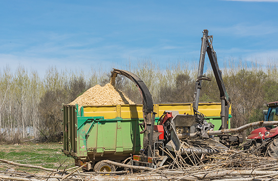 Forestry Mulching