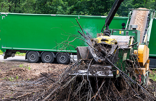 Forestry Mulching