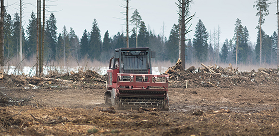 Forestry Mulching