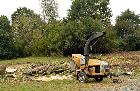 Forestry Mulching