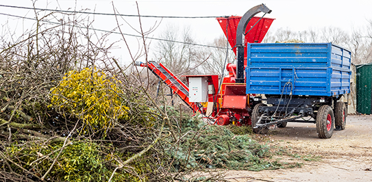 Forestry Mulching