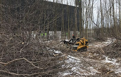 Heavy equipment clearing underbrush and dead wood during the site prep phase for the upcoming tree care project in Toronto.