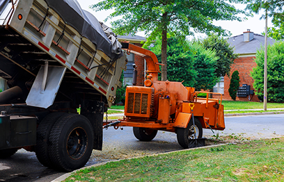 Stump grinding in Toronto service in progress to eliminate tree stumps and prepare land for redevelopment. 