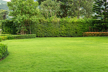  Properties That Benefit from Commercial Grounds Maintenance
