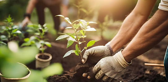 Commercial Snow Removal and Property Maintenance