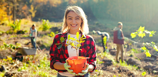 ISA-Certified Arborists Serving Vaughan