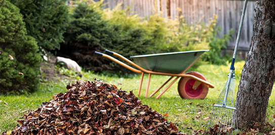 Get Started with Expert Lot Clearing Services Today